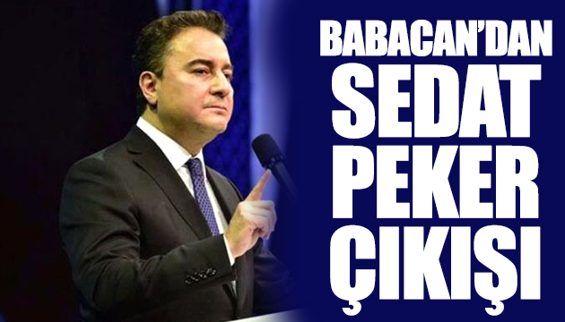 Babacan dan Sedat Peker çıkışı