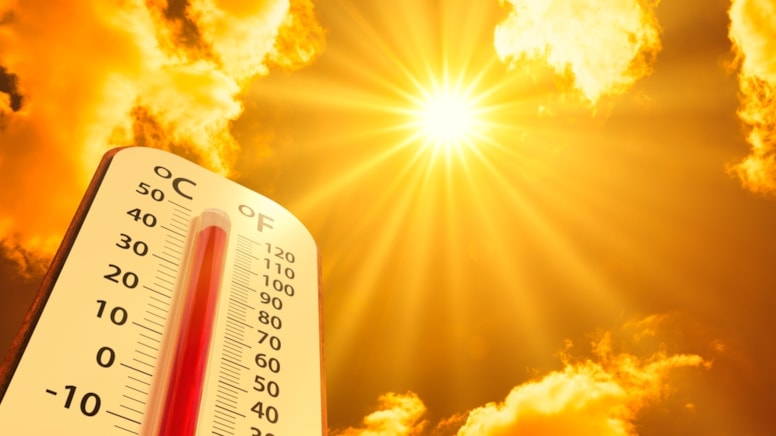 Dünya nın en sıcak yılı 2024 olacak