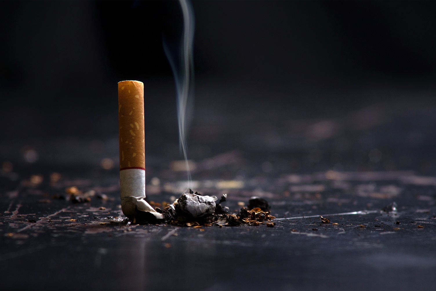 Dünyada her yıl tütün kullanımı nedeniyle 8,7 milyon insan yaşamını yitiriyor