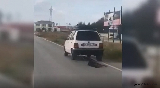 Aracına iple bağladığı köpeği yolda metrelerce sürükledi!