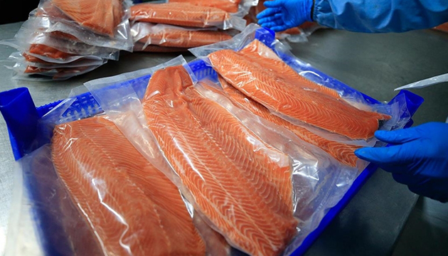 150 milyonluk somon ihracatı