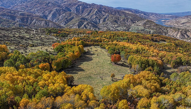 Diyarbakır da sonbahar renkleri