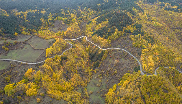 Ilgaz Dağı nda renk cümbüşü