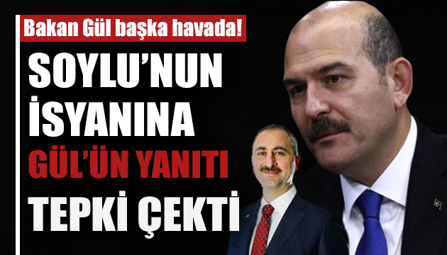 Soylu nun isyanına Gül ün yanıtı tepki çekti