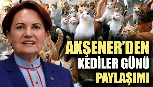 Akşener den kediler günü paylaşımı