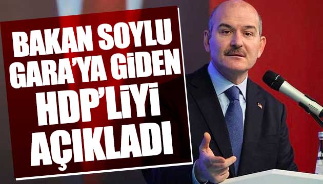 Soylu, Gara ya giden HDP liyi açıkladı