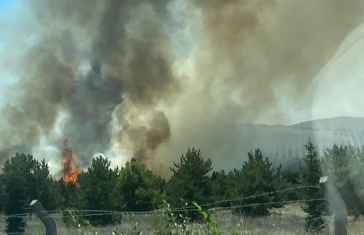 Atatürk Orman Çiftliği nde yangın paniği