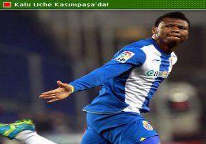 Kalu Uche Kasımpaşa da!