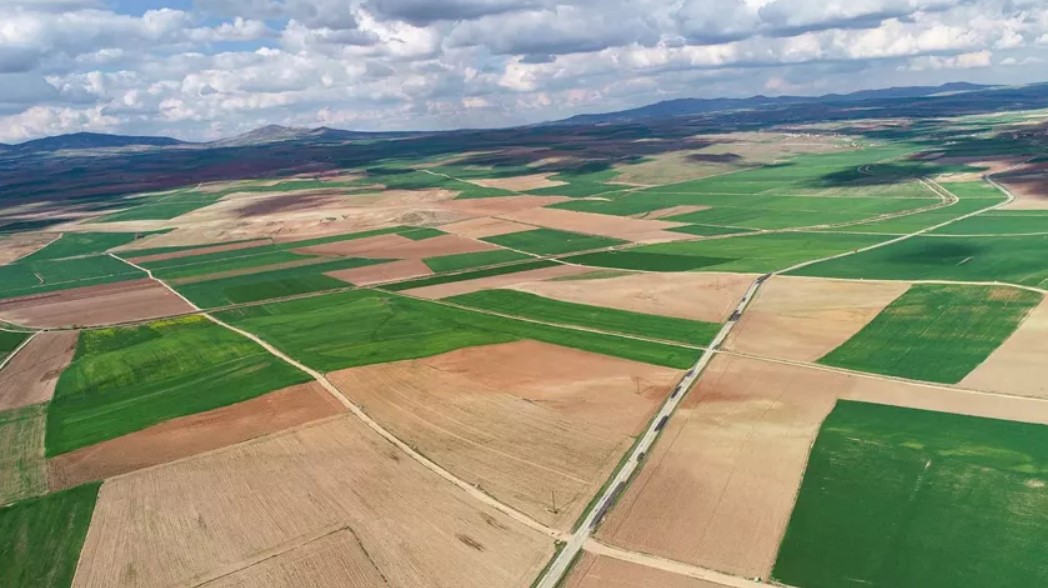 TZOB Başkanı:  Tarım arazilerinin yabancılara satışı yasaklanmalı 