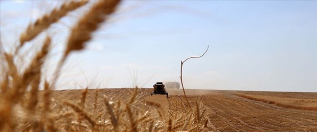 Tarım ve ormancılığın 25 yıllık yol haritası oluşturulacak