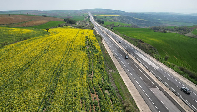 Renkli kanola tarlaları eşsiz sürüş rotası sunuyor
