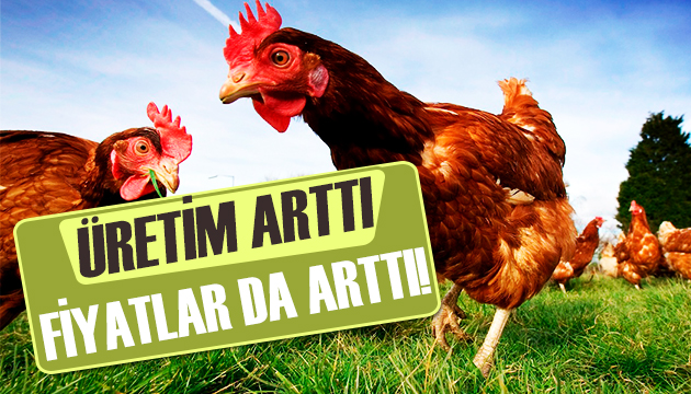 Beyaz ette üretim arttı, fiyatlar da arttı!