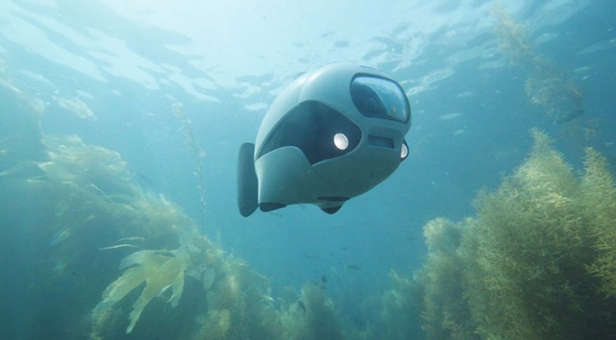 Bu robot gerçek bir balık gibi davranıyor