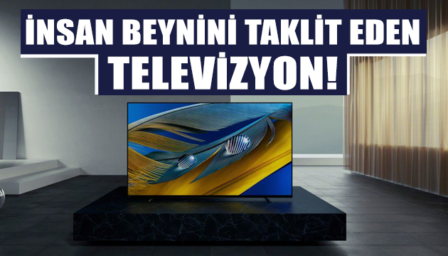 İnsan beynini taklit eden televizyon!