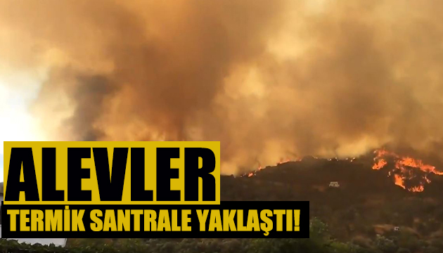 Yangın termik santrale yaklaştı!