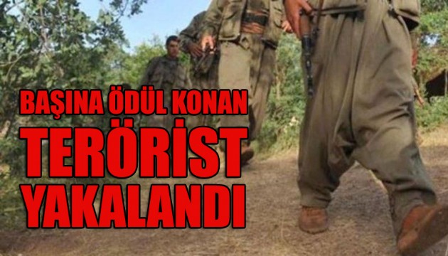 Başına ödül konan terörist yakalandı