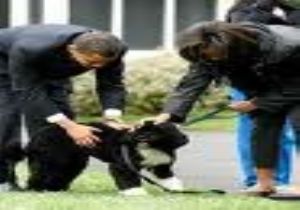 Obama Şaşırttı...