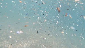 Antalya kıyılarında mikroplastik alarmı