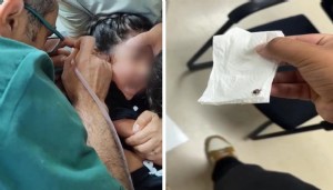 Kulak ağrısı diye gitti, kulağından kene çıktı