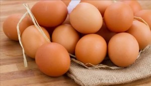 Salmonella salgını Avrupa'ya yayıldı