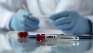 DSÖ'den korkutan Ebola uyarısı