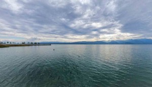 Sapanca Gölü'nden sevindiren haber!