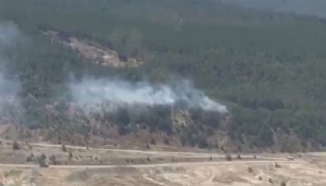 Bursa'da ormanlık alanda yangın!