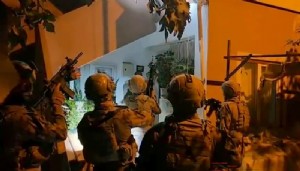 Adana merkezli suç örgütü operasyonu