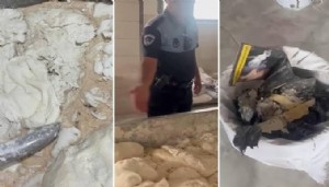 Fırın değil mikrop yuvası! Görenlerin midesi bulandı