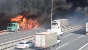 TEM'de korkutan yangın: Otoyol trafiğe kapatıldı