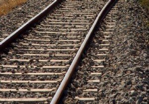 Tren raylarına bağlanan köpekler telef oldu