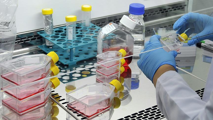Türk ilaç sanayi uluslararası pazara açılıyor