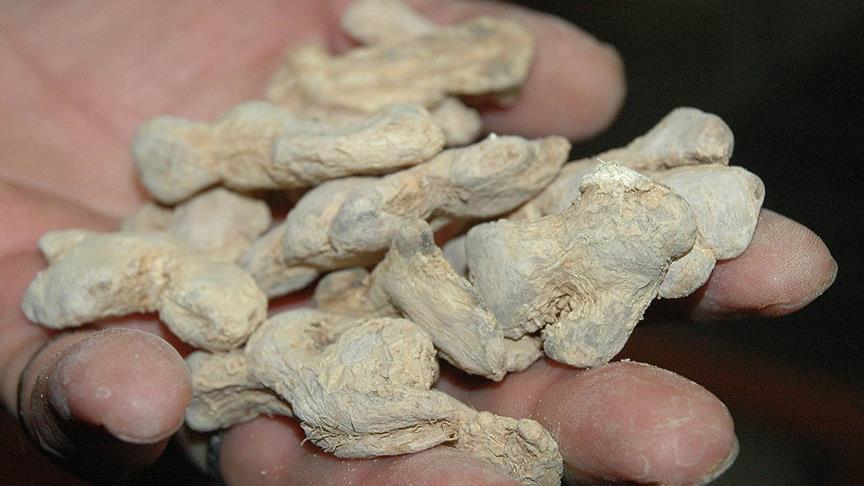 Dalgınlığa karşı zencefil ve karabiber kokusu