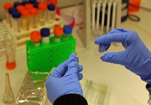 Jamaikalı atlet Zika virüsüne yakalandı!