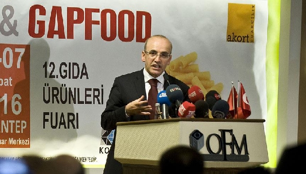 Başbakan Yardımcısı Şimşek: