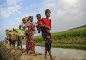 BM'den ürperten Arakan raporu