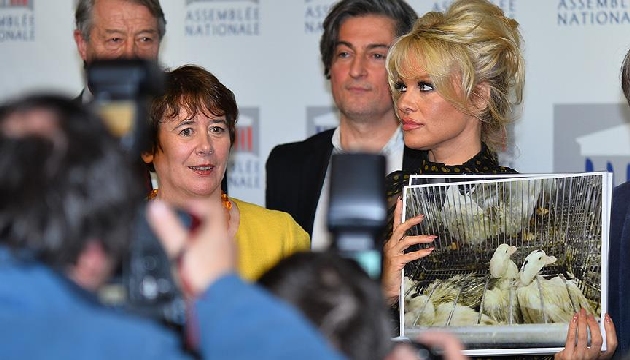 Pamela Anderson dan Fransa ya tepki