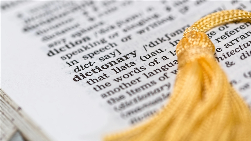 Oxford 2025 yılının kelimesini seçti