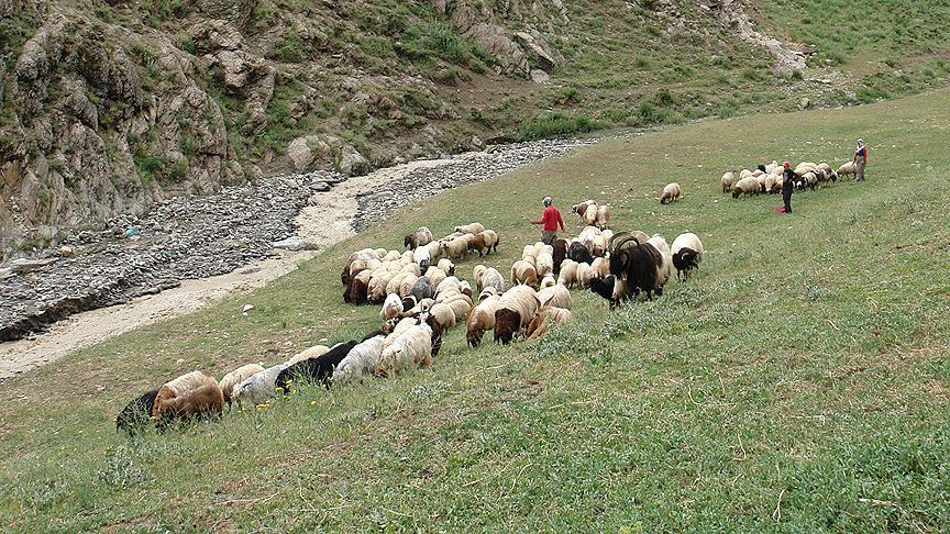 FETÖ den  destek primi  sahtekarlığı