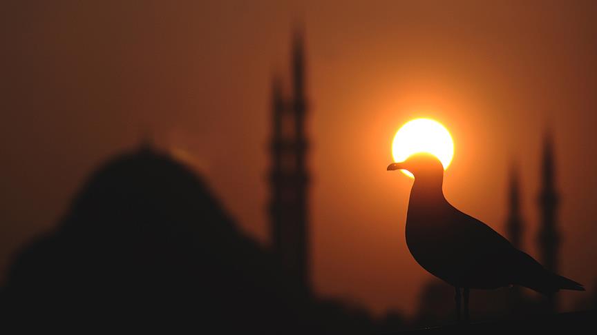 Türkiye yi sevmemiz için çok sebep var