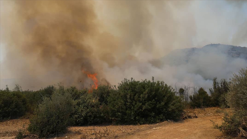 Adana da orman yangını kontrol altında