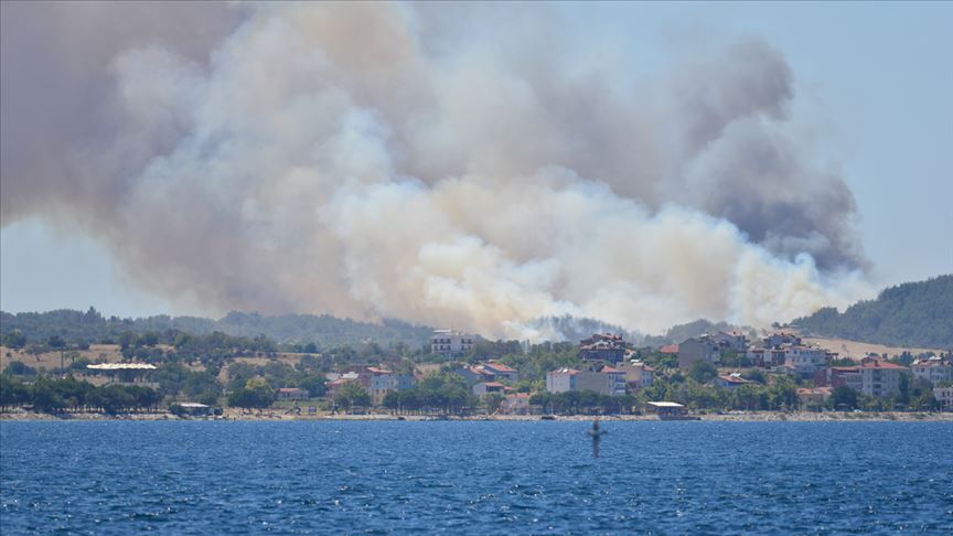 Çanakkale de orman yangını