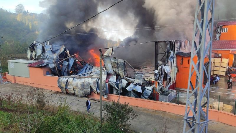 Trabzon da balık fabrikasında yangın!