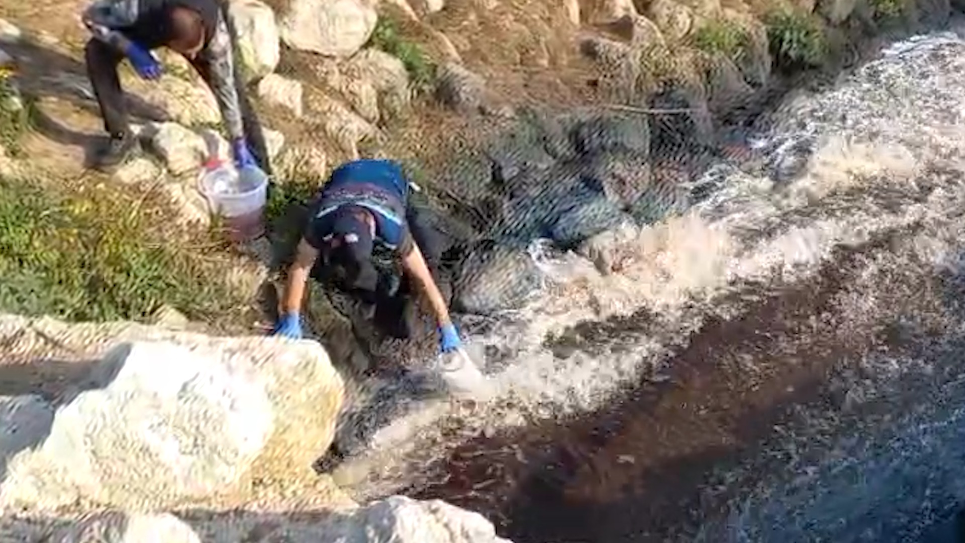 Bakanlıktan Ceyhan Nehri ne inceleme
