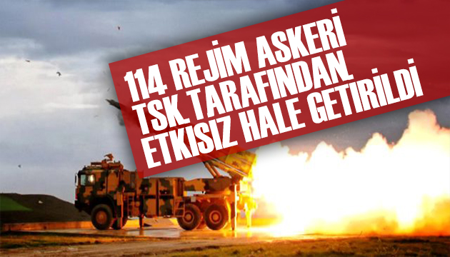 TSK 114 rejim askerini etkisiz hale getirdi!