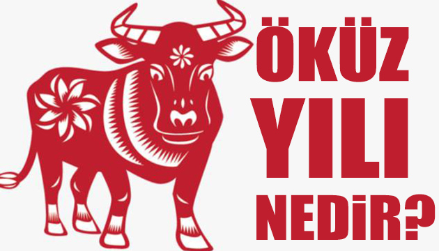 Öküz yılı nedir?