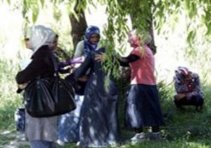 Türbanlı Öğrenciler Sinir Krizi Geçirdi 