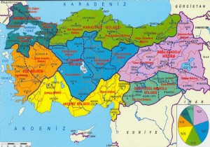 Türkiye nin Kanser Haritası Nasıl?