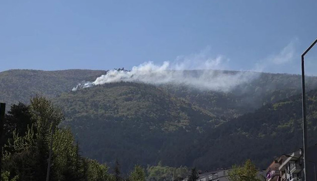 Uludağ eteklerinde orman yangını