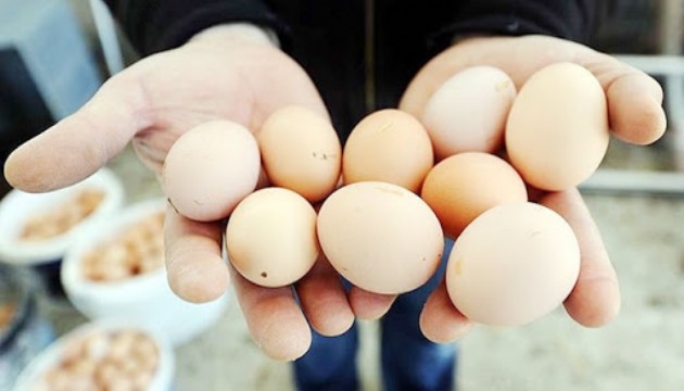 Yaz geldi, yumurtanın ateşi düştü